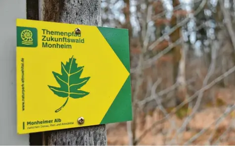  ?? Foto: Wolfgang Widemann ?? Eine Bürgerinit­iative will bei Monheim diesen Wald erhalten, durch den ein Lehrpfad führt.