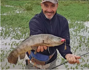  ??  ?? El guía Pepe Rivas se lució con las tarariras. A la mañana erraban mucho y por la tarde el río había crecido cambiando el ámbito.