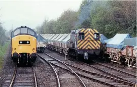  ??  ?? Clay hoods aremarshal­ledatBosca­rne in1983, the lastyear that theWenford drieswas served by rail. BWR