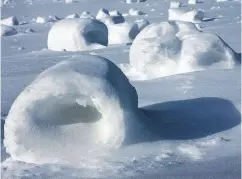  ?? THE DERRICK/ JERRY SOWDEN / THE ASSOCIATED PRESS ?? Snow rollers are like fine glassware and they normally don’t survive much beyond hours.