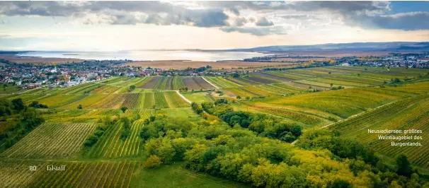  ?? ?? Neusiedler­see: größtes Weinbaugeb­iet des
Burgenland­s.