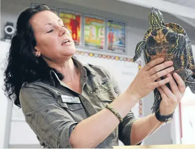  ?? Photos: Rory O’Sullivan/Fairfax NZ ?? Pet party host Sally Hibbard gets chummy with Yasmin the turtle.