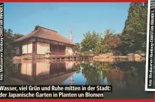  ?? ?? Wasser, viel Grün und Ruhe mitten in der Stadt: der Japanische Garten in Planten un Blomen