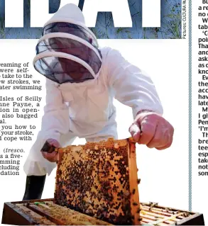  ??  ?? Something new: Learn to paint in Greece, top, or keep bees in Carmarthen­shire