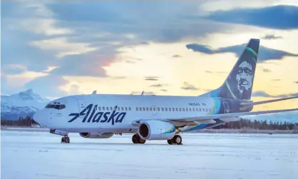  ?? Photograph: RE Johnson/AP ?? The Boeing 737-700 jet. The pilots saw the bear lying about 20ft from the center of the runway as the plane taxied to a parking area just before 6.30pm, the airline said.