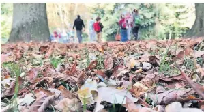  ?? FOTO: ANTJE SEEMANN ?? In einem Waldkinder­garten finden die meisten Aktivitäte­n draußen an der frischen Luft statt.