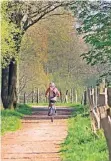  ??  ?? Von Rüsgen aus führt ein Radweg über die erste Strecke der Tour.