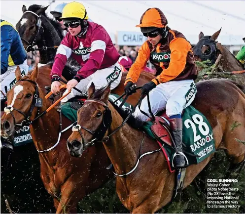  ?? ?? COOL RUNNING: Waley-Cohen pilots Noble Yeats (No 28) over the imposing National fences on the way to a famous victory