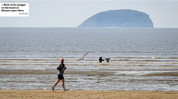  ?? Ben Birchall ?? > Birds circle a jogger on the beach at Weston-super-Mare