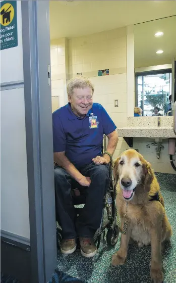  ?? MARK VAN MANEN ?? Chip, a nine-year-old golden retriever, and his owner Brad McCannell check out the newly opened pet-relief facility in Vancouver airport’s departure area Wednesday. He called the service “critically important.”
