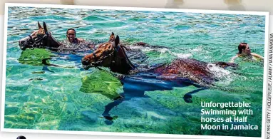  ??  ?? Unforgetta­ble: Swimming with horses at Half Moon in Jamaica