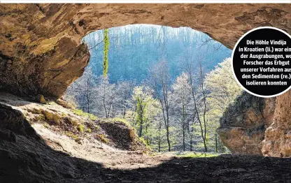  ??  ?? Die Höhle Vindija in Kroatien (li.) war eine der Ausgrabung­en, wo Forscher das Erbgut unserer Vorfahren aus den Sedimenten (re.) isolieren konnten