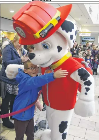  ?? FM4995684 ?? PAW Patrol’s Marshall gets a hug from one of the excited fans at County Square shopping centre