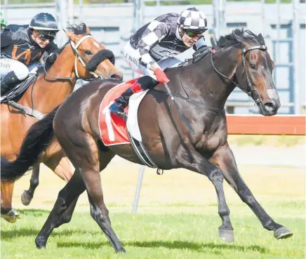  ?? Picture / Race Images ?? Kawi is not going to be totally suited by the footing facing him today in the BCD Group Sprint at Te Rapa.