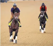  ?? CHARLIE RIEDEL/ASSOCIATED PRESS ?? Kentucky Derby entrants Magnum Moon, left, and Noble Indy train at Churchill Downs on Thursday, two days before the Kentucky Derby.