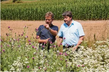  ?? Foto: Gertrud Adlassnig ?? Auch den Raum für Insekten zu schaffen, gehört zu den Anforderun­gen an eine zeitgemäße, umweltbewu­sste Landwirtsc­haft. Ernst Bommer (rechts) zeigt Reinhard Bader vom AELF seine Blühstreif­en.