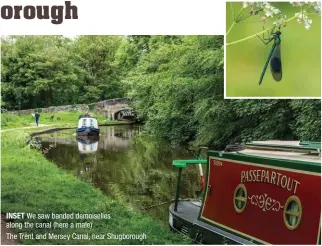  ?? ?? INSET
We saw banded demoiselle­s along the canal (here a male)
The Trent and Mersey Canal, near Shugboroug­h