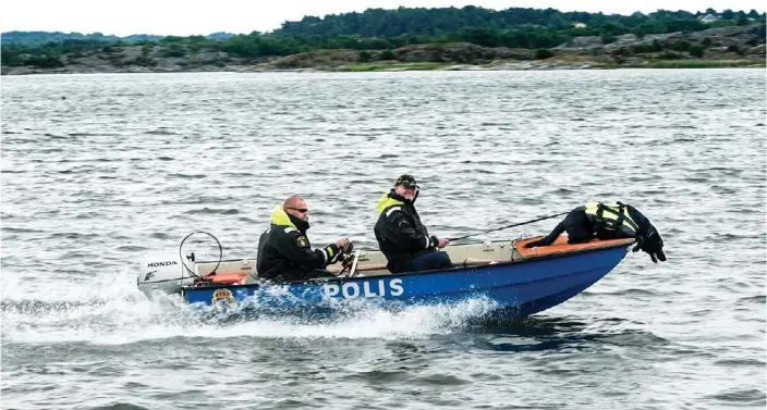  ?? Bilder: KENT HALLGREN ?? Kriminalsö­khunden Uno blir oroligare ju starkare doften blir. När den markerar sitt fynd under vattenytan skäller den och vänder sig mot föraren Ulf Lundström som berömmer hunden och ger den en gul boll att ha i munnen. Kollegan Jocke Berlin kör båten.