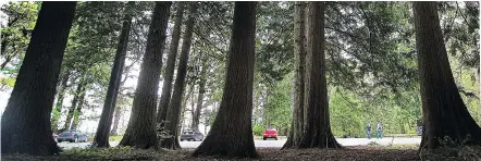  ?? — VICTORIA TIMES COLONIST FILES ?? Saanich police are investigat­ing two recent sexual offences in Mount Douglas Park, the latest in a string of incidents police believe may have been perpetrate­d by the same man.