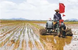  ?? JON CHOL JIN AP FILE ?? Farmers plant rice at the Namsa Co-op Farm in Pyongyang, North Korea, in 2021. Experts say North Korea’s food shortages worsened due to the pandemic.