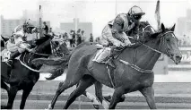  ?? FAIRFAX MEDIA ?? Jockey Jim Cassidy on Kiwi in the 1983 Melbourne Cup race.