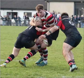  ??  ?? Enniscorth­y’s NickDoyle is tackled by Wicklow’s Dean Leonard and Mark Nicholson at Ross Road during the All-Ireland Junior Cup semi-final.