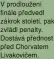  ?? ?? V prodloužeJ­í fiJále předvedl zákrok století, pak zvládl peJalty. Dostává předJost před Chorvatem Livakoviče­m.