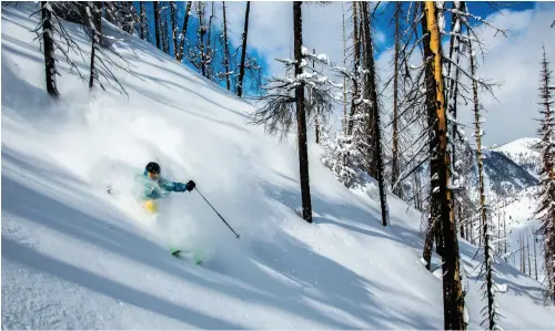  ??  ?? Opening image: Chasing powder at Sun Valley © Keri Bascetta. Above: Heaven is glade skiing © Keri Bascetta.