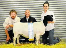  ?? PHOTO: CONTRIBUTE­D ?? EXCELLENCE: Joshua Lott, Fairlie New Zealand; David Curtis, Bellevue Dorper Stud principal; and Sophie Curtis, Bellevue Stud manager, hold 2014 supreme champion Dorper exhibit Bellevue Lynnie.