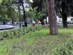  ??  ?? Rendering Come sarà il giardino di piazza dei Quiriti dopo il restauro