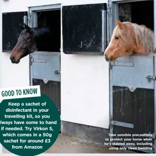  ??  ?? Take sensible precaution­s to protect your horse when he’s stabled away, including using only clean bedding