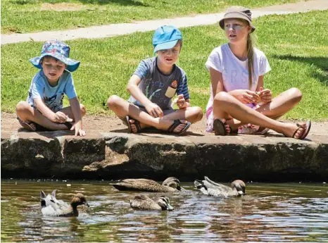  ?? PHOTO: NEV MADSEN ?? SUMMER TIME: Envying the ducks at Lake Annand having a swim in the heat are (from left) Mitchell, Lachlan and Brianna Whyte.