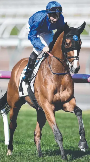  ??  ?? Hartnell has drawn the outside barrier for the Chipping Norton Stakes at Randwick on Saturday with trainer John O’Shea saying he has no genuine chance against champion mare Winx. Picture: AAP IMAGE