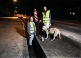  ?? FOTO SERGE MINTEN ?? Vrijwillig­ers halen elke dag alle dieren uit de diepe greppels en zetten ze dan aan de overkant van de straat.