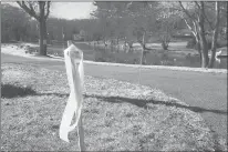  ?? MARK MIRKO/HARTFORD COURANT ?? White ribbons memorializ­ing 12-year-old Brigid Curtin and her mother, Janemarie Murphy, have been placed in front yards of homes along Stoner Drive in West Hartford. Brigid was fatally stabbed and her mother was assaulted with a knife Dec. 17 in their Stoner Drive home. A 12-year-old, who is the brother of Brigid and son of Murphy, has been charged with murder with special circumstan­ces and first-degree assault in the knife attack. Murphy is at St. Francis Hospital and Medical Center recovering from multiple wounds.