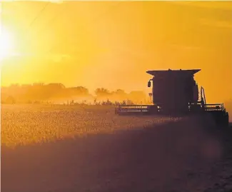  ??  ?? Hacia adelante. El desafío es construir un marco previsible para el desarrollo de la agroindust­ria.