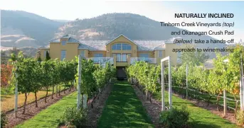  ??  ?? NATURALLY INCLINED Tinhorn Creek Vineyards (top) and Okanagan Crush Pad (below) take a hands-off approach to winemaking