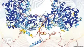  ?? ?? Hasta ahora, solo se han analizado las estructura­s de alrededor de un tercio de las proteínas humanas.