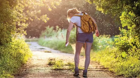  ?? ISTOCK ?? Mückenalar­m: Synthetisc­he Wirkstoffe als Spray helfen laut Stiftung Warentest besser als natürliche.