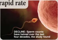  ?? ?? DECLINE: Sperm counts have halved over the last four decades, the study found