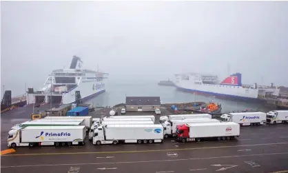  ??  ?? Lorries queue for ferries at the port of Rosslare in the south-east of Ireland. Photograph: Paul Faith/AFP/Getty Images