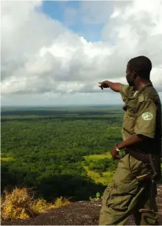  ??  ?? A Mozambican park ranger gestures from a hill overlookin­g the GNR in the Zambeze Province seen in the Gile and Pemba province.