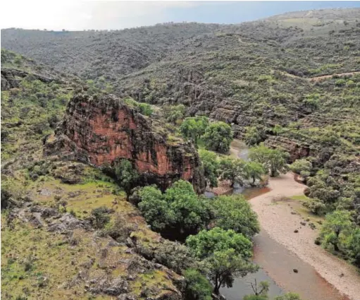  ?? MÓNICA MARTÍNEZ-BORDIÚ ?? Agreste paisaje de Cabañeros, icono del medio mediterrán­eo abcdelacaz­a@abc.es