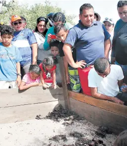  ??  ?? Los canechos y las jaibas viven entre los bosques de manglar y las playas donde la población los recolecta para su consumo.