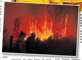  ??  ?? Firefighte­rs battle the blazes in New South Wales – sparked by a record heatwave and fanned by strong winds