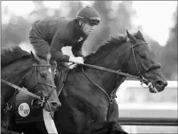  ?? BARBARA D. LIVINGSTON ?? Maxfield was withheld from the Breeders’ Cup Classic and pointed to the Clark, which will be the final start of his career.