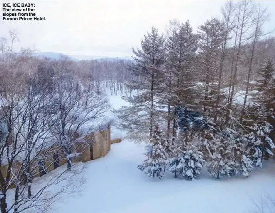  ??  ?? ICE, ICE BABY: The view of the slopes from the Furano Prince Hotel.