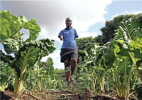  ?? Pictures: Thapelo Morebudi ?? Sibusiso Mogale on his vegetable farm in Kabokweni, in Mbombela, Mpumalanga. After starting it from scratch, he now provides employment for 15 people.