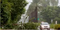  ?? — AP ?? A car drives around a tree downed by winds from Hurricane Irma on September 9, in Golden Beach, Florida.