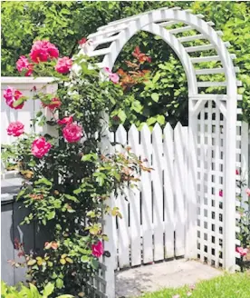  ??  ?? Design a welcoming entrance to your garden with a romantic archway and pots of climbing roses.